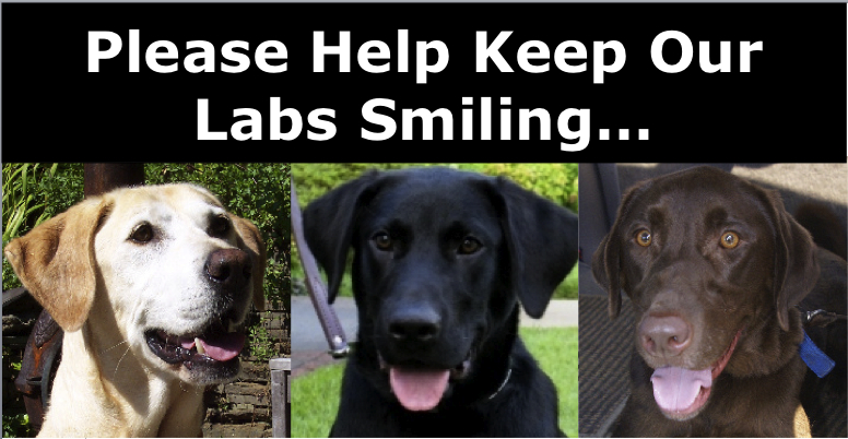 Please Help Keep our Labs Smiling...