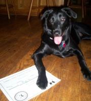  Josie #5 (now Rylie) with her diploma