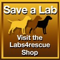 Save a Lab - Visit the Labs4rescue Shop
