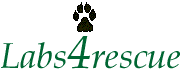L4R Logo