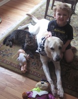 Cooper