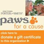 Donate to Labs4Rescue through Drs. Foster and Smith