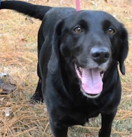 Murphy