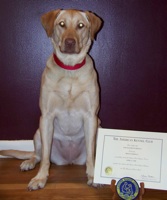 Zoie with her CGC certificate